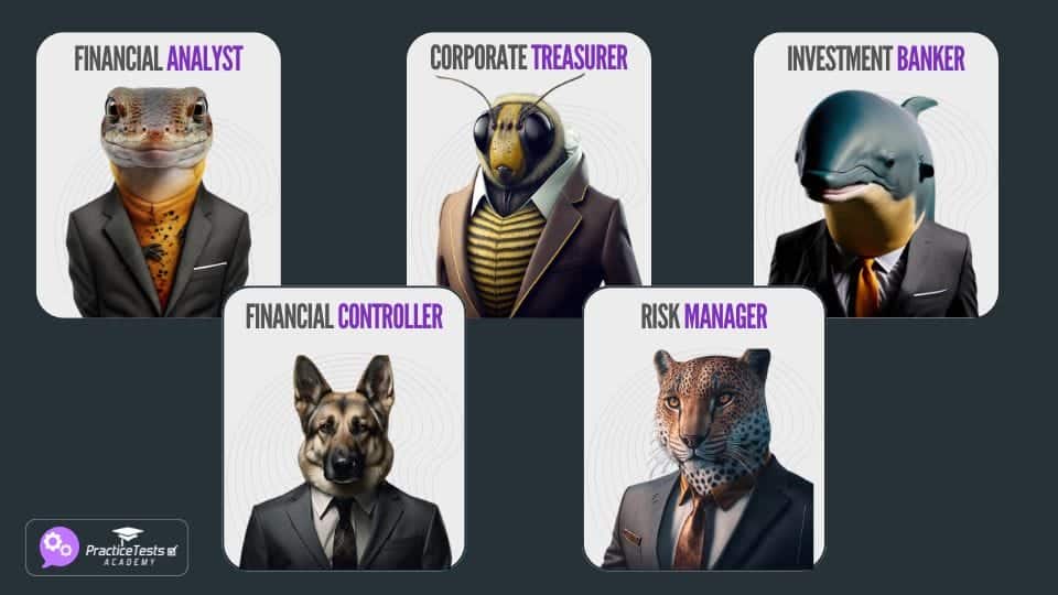 CIMA F3 financial roles